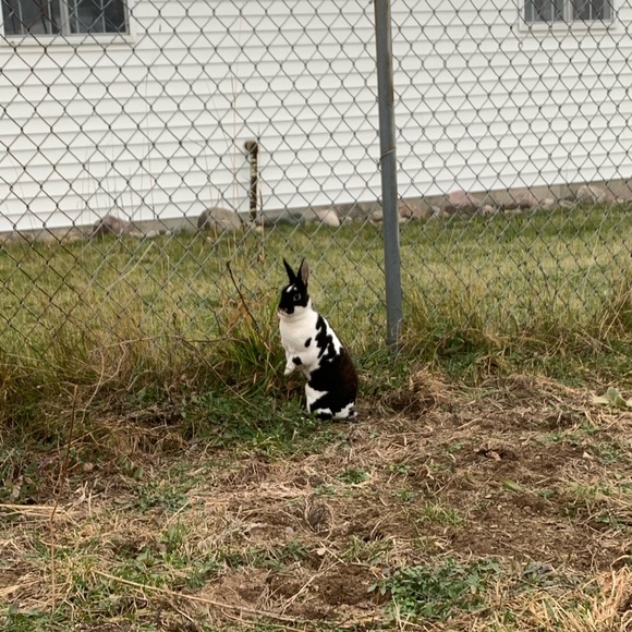 Promotion - Picture 2 of 3